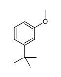 1-(tert-Butyl)-3-methoxybenzene Structure
