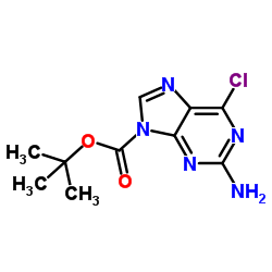 2-Methyl-2-propanyl 2-amino-6-chloro-9H-purine-9-carboxylate Structure