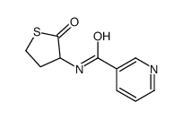 homocysteine-thiolactone-nicotinamide结构式