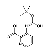 3-TERT-BUTOXYCARBONYLAMINO-PYRIDINE-2-CARBOXYLIC ACID Structure