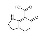 6-oxo-1,2,3,3a,4,5-hexahydroindole-7-carboxylic acid Structure