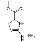 1H-Imidazole-4-carboxylicacid,2-hydrazino-4,5-dihydro-,methylester(9CI) structure