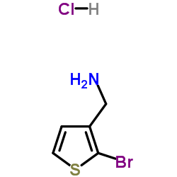 (2-BROMO-3-THIENYL)METHYLAMINE HYDROCHLORIDE结构式