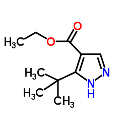ethyl 3-(tert-butyl)-1H-pyrazole-4-carboxylate structure