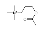 acetylhomocholine structure