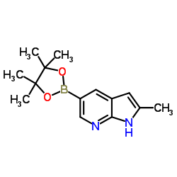 2-methyl-5-(tetramethyl-1,3,2-dioxaborolan-2-yl)-1h-pyrrolo[2,3-b]pyridine picture