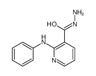 2-anilinopyridine-3-carbohydrazide结构式