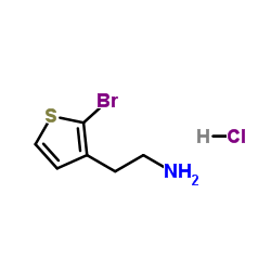 2-(2-Bromo-3-thienyl)ethanamine hydrochloride (1:1)结构式