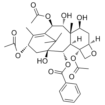 9-Dihydro-13-acetylbaccatin III picture