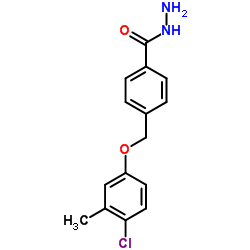 4-(4-CHLORO-3-METHYL-PHENOXYMETHYL)-BENZOIC ACID HYDRAZIDE Structure