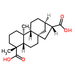 Ent-贝壳烯烷-17,19-二酸结构式