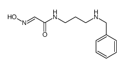 N-[3-(benzylamino)propyl]-2-hydroxyiminoacetamide Structure