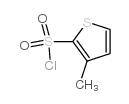 3-methyl-2-Thiophenesulfonyl chloride Structure