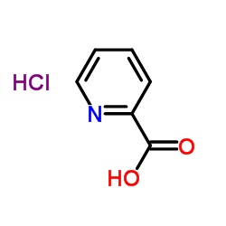 2-Pyridinecarboxylic acid hydrochloride picture