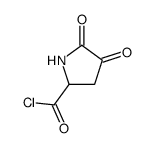 2-Pyrrolidinecarbonyl chloride, 4,5-dioxo- (9CI) structure