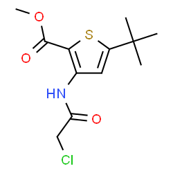 METHYL 5-(TERT-BUTYL)-3-[(2-CHLOROACETYL)AMINO]THIOPHENE-2-CARBOXYLATE结构式