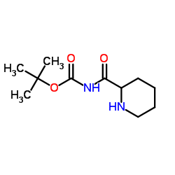 (R)-N-Boc-脯氨酰胺结构式