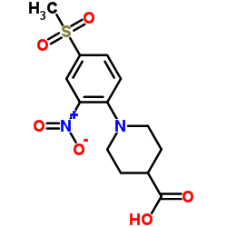 1-[4-(Methylsulfonyl)-2-nitrophenyl]-4-piperidinecarboxylic acid结构式