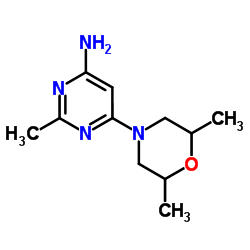 6-(2,6-dimethylMorpholino)-2-Methylpyrimidin-4-amine picture