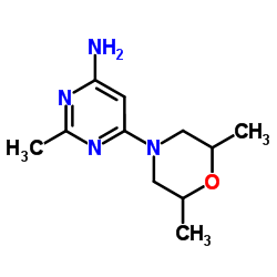 6-(2,6-dimethylMorpholino)-2-Methylpyrimidin-4-amine structure