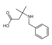 3-(苄基氨基)-3-甲基丁酸结构式