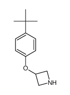 3-(4-tert-butyl-phenoxy)-azetidine结构式