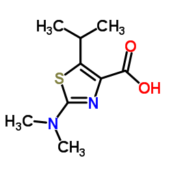 2-(Dimethylamino)-5-isopropyl-1,3-thiazole-4-carboxylic acid结构式
