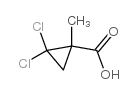 2, 2-二氯-1-甲基环丙烷甲酸结构式