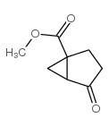 Bicyclo[3.1.0]hexane-1-carboxylic acid, 4-oxo-, methyl ester (9CI) picture