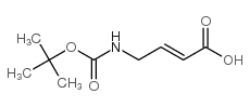 2-Butenoicacid,4-[[(1,1-dimethylethoxy)carbonyl]amino]-,(2E)-(9CI) Structure