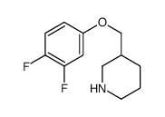 3-[(3,4-Difluorophenoxy)methyl]piperidine Structure