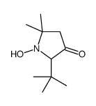 2-tert-butyl-1-hydroxy-5,5-dimethylpyrrolidin-3-one Structure