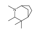 2,3,4,4-Tetramethyl-2-azabicyclo[3.2.1]octane picture