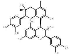 Grape Seed Extract structure