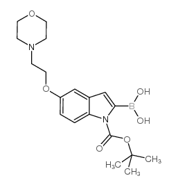 2-硼-5-[2-(4-吗啉基)乙氧基]-1H-吲哚-1-羧酸-1-(1,1-二甲基乙基)酯结构式