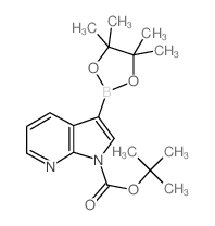 tert-butyl 3-(4,4,5,5-tetramethyl-1,3,2-dioxaborolan-2-yl)pyrrolo[2,3-b]pyridine-1-carboxylate picture