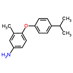 4-(4-Isopropylphenoxy)-3-methylaniline结构式