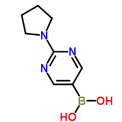 2-四氢吡咯基嘧啶-5-基硼酸图片