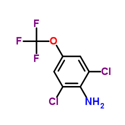 2,6-Dichloro-4-(trifluoromethoxy)aniline structure