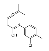 N-(3-chloro-4-methylphenyl)-5-methylhexa-3,4-dienamide结构式