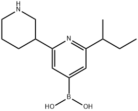 2-(sec-Butyl)-6-(piperidin-3-yl)pyridine-4-boronic acid结构式