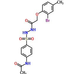 446825-98-5 structure