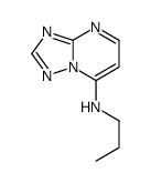N-propyl-[1,2,4]triazolo[1,5-a]pyrimidin-7-amine结构式