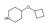 4-cyclobutoxypiperidine Structure