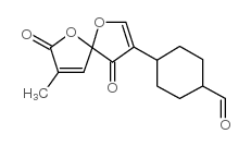 Nidulal Structure