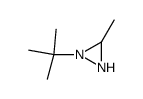 1-tert-butyl-3-methyl-diaziridine Structure