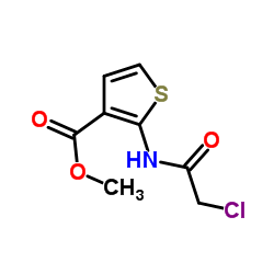 METHYL 2-[(2-CHLOROACETYL)AMINO]THIOPHENE-3-CARBOXYLATE picture