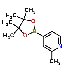 2-甲基吡啶-4-硼酸频哪酯图片