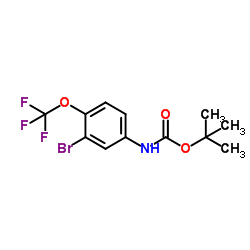 tert-butyl (3-bromo-4-(trifluoromethoxy)phenyl)carbamate picture