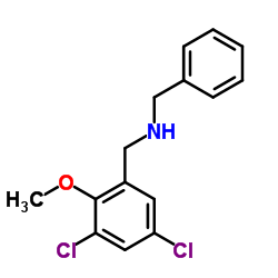 N-Benzyl-1-(3,5-dichloro-2-methoxyphenyl)methanamine结构式